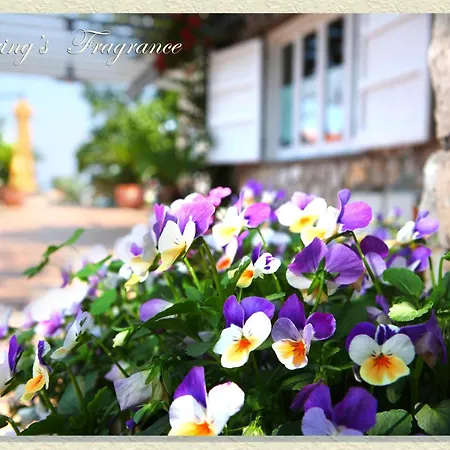Villa Ketty Resort-3
